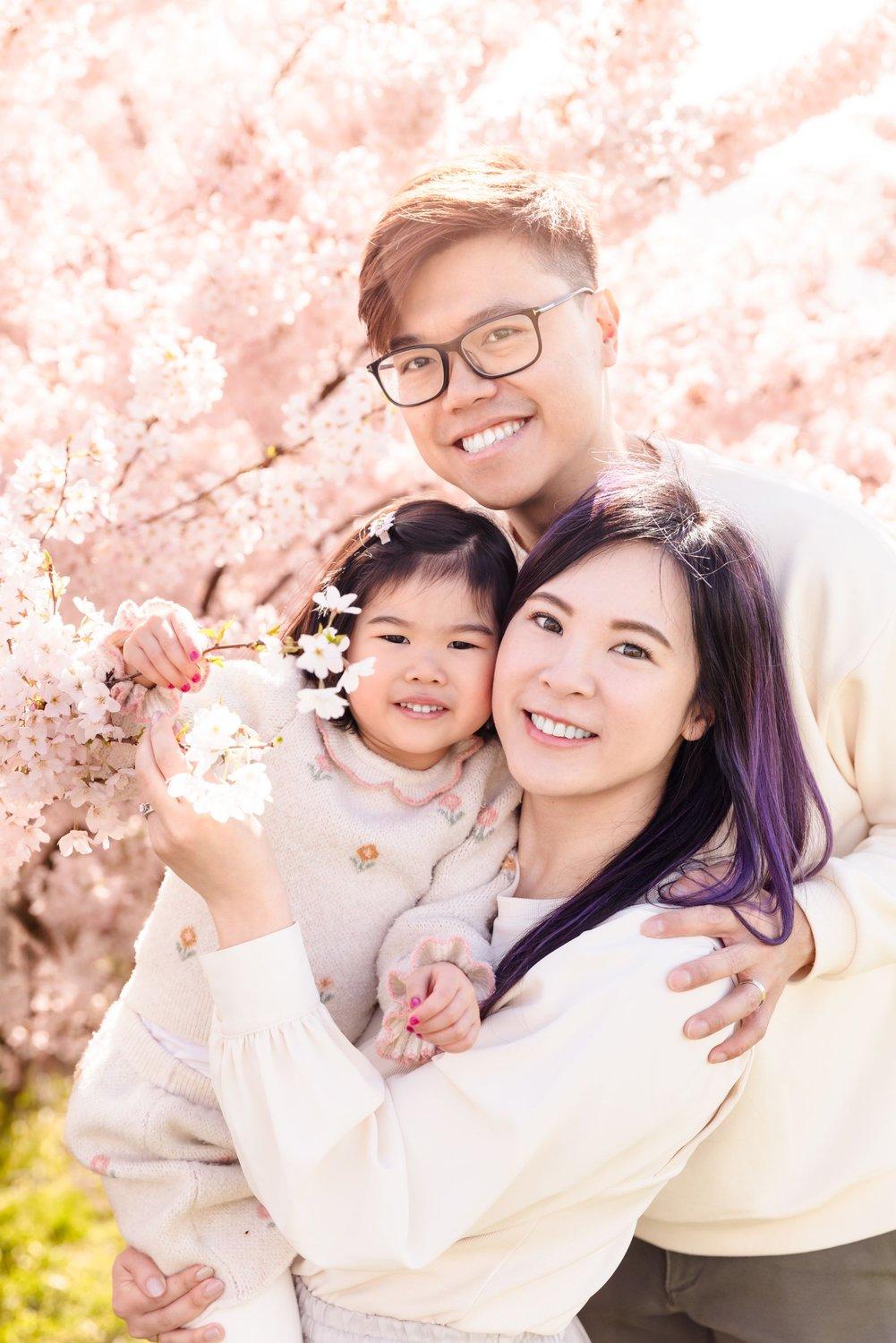 carousel-hero-element image-2